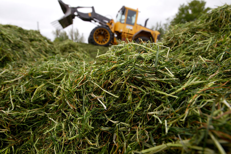 Fordon och ensilage