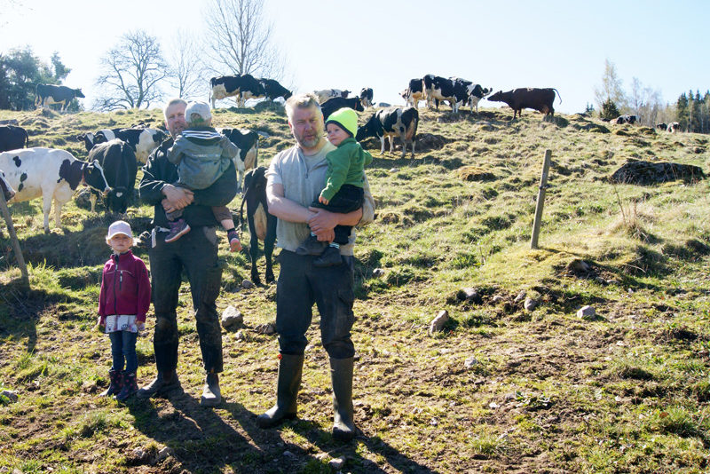 Familjefoto i kohagen