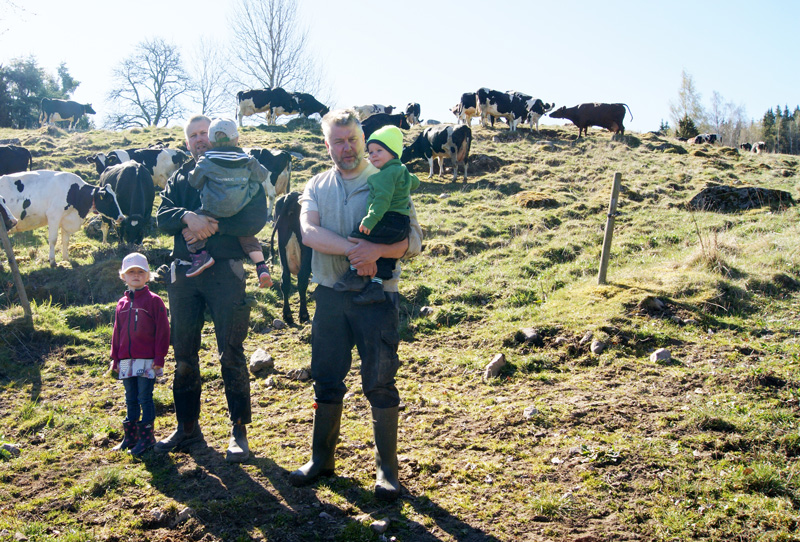 Familjefoto i kohagen