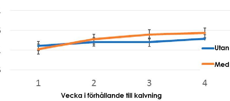 Bild på ett diagram som visarRespons i energikorrigerad mjölk efter tillsatt X-Zelit.