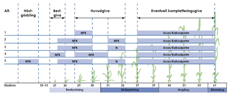 Bild på en tabell om gödselråd Höstvete