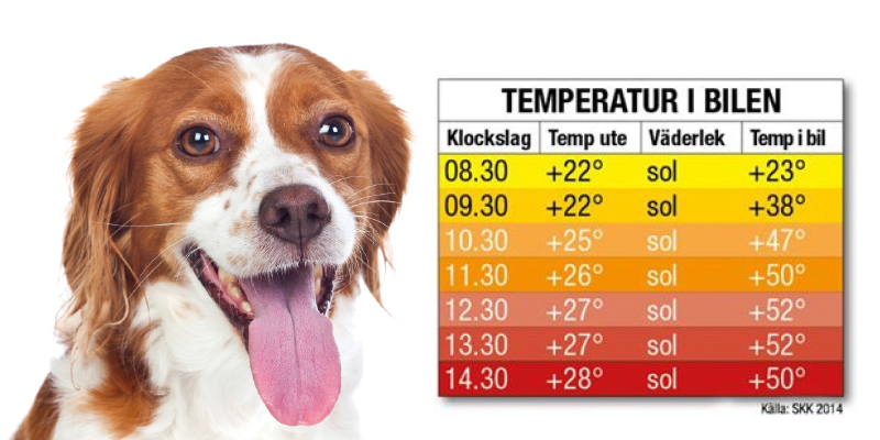 Diagram över temperatur i bil