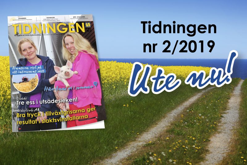 Banner för Tidningen nr 2 2019