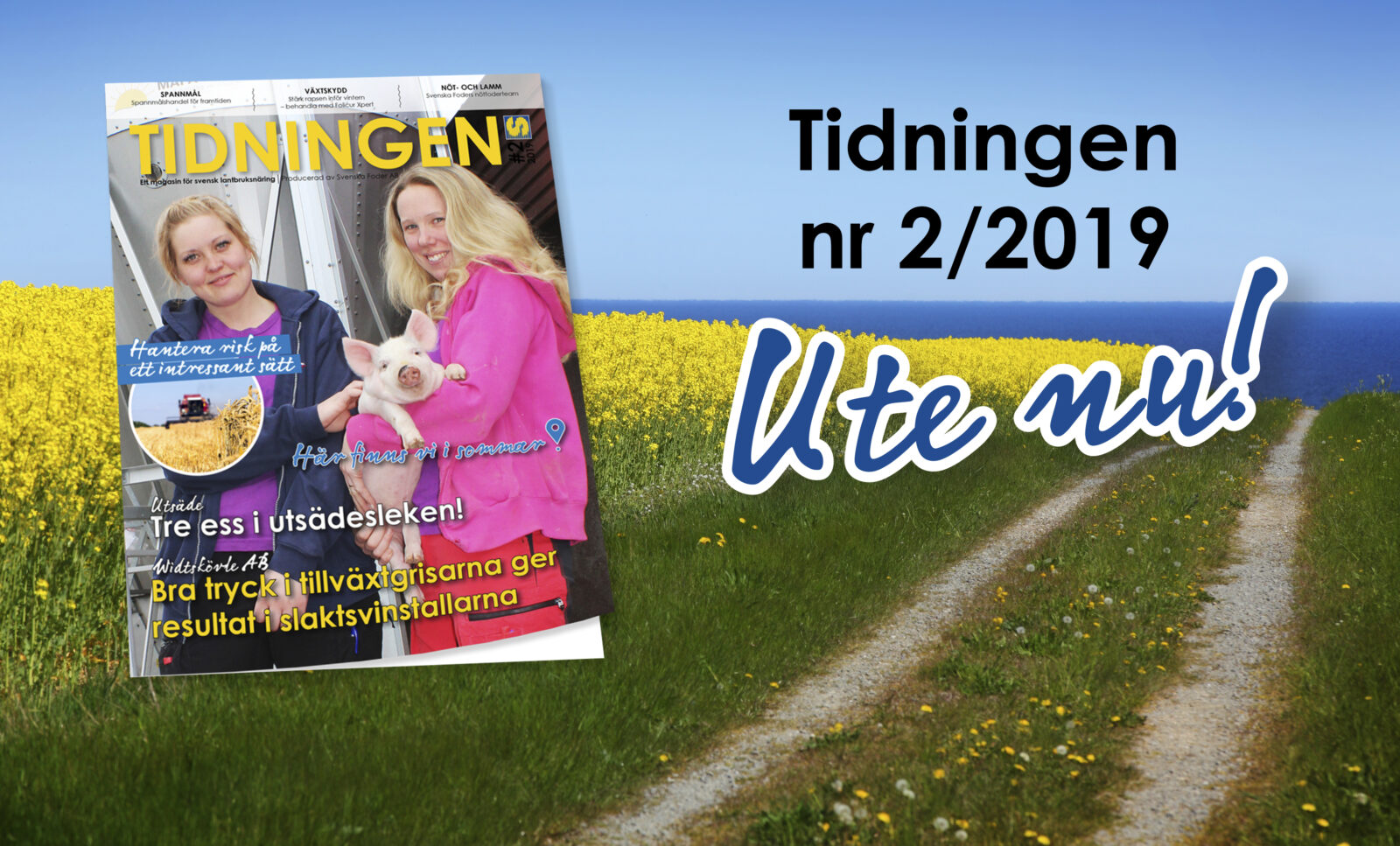 Banner för Tidningen nr 2 2019