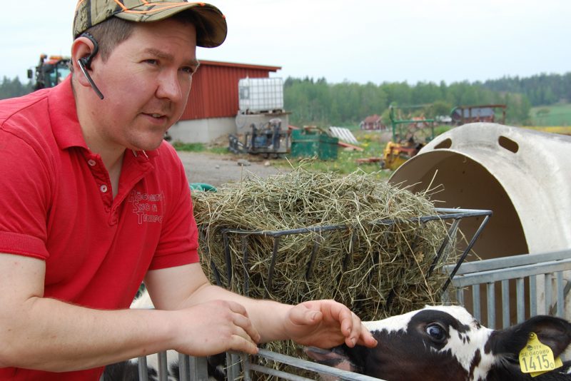 Mjölkbonden Erik Jonsson med en kalv