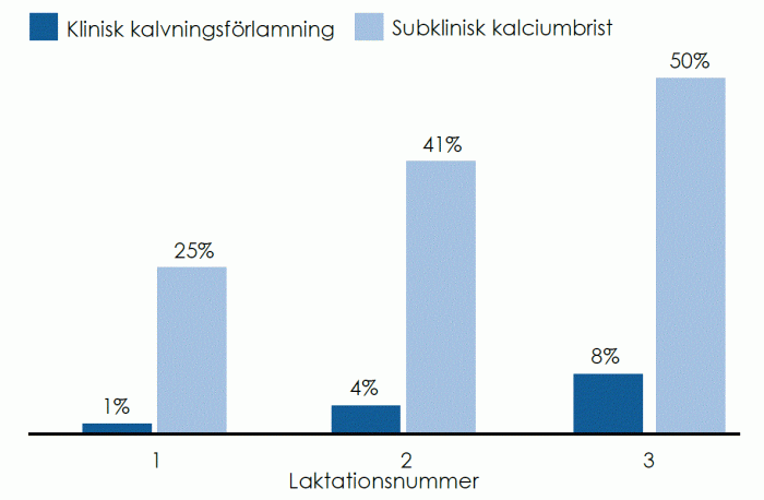 Diagram över subklinisk kalciumbrist Kor