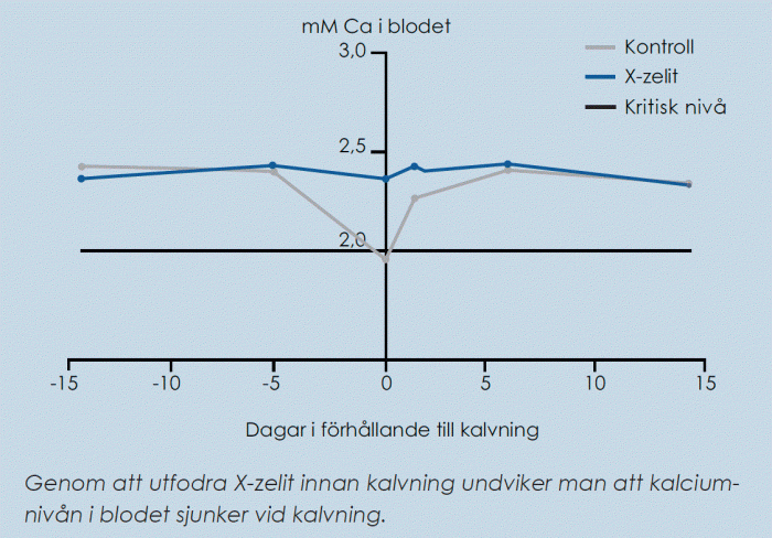 Diagram över kalciumnivåer Kor