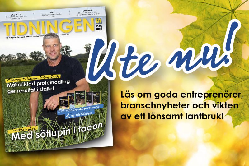 Tidningen nr 3 2019