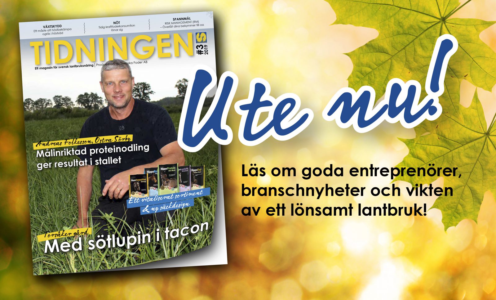 Tidningen nr 3 2019