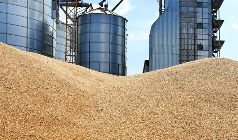 Spannmål i hög med silos i bakgrunden.