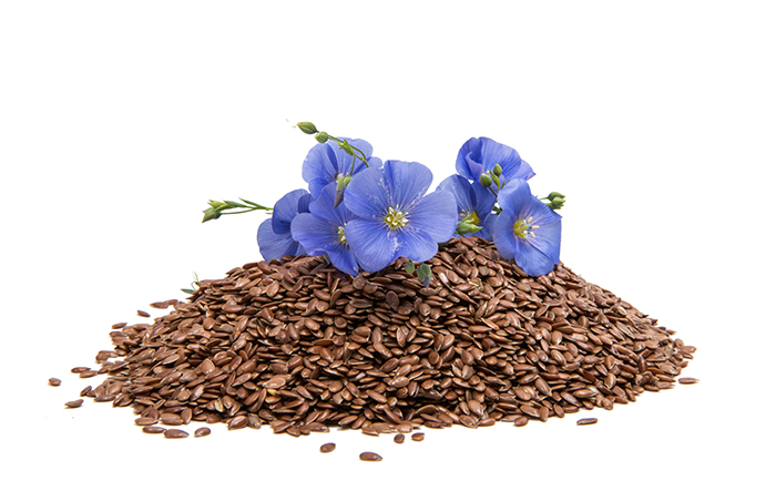 Linfrön med en linblomma