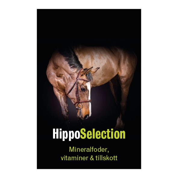 HippoSelection Banner