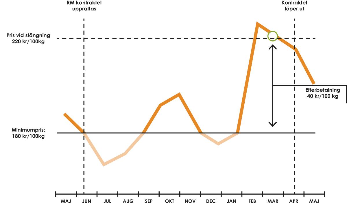 Diagram över RM Aktiv 2019