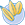 Scandinavian Seed