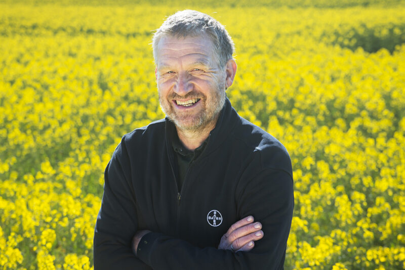 Lars Ipsen Produktchef utsäde Monsanto