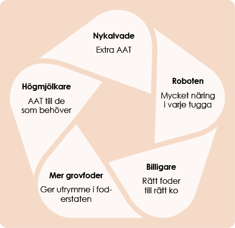 Stråla 245 Illustration