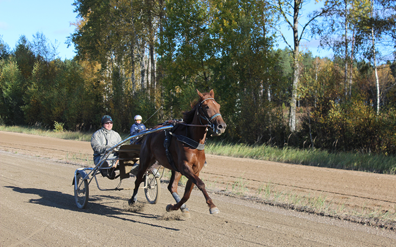 Mimmi_Elfstrand_med travhäst