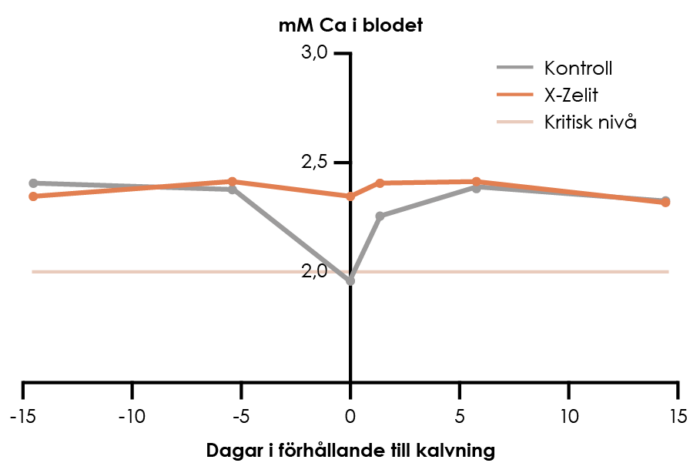 Diagram X-Zelit