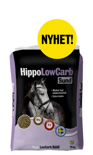 HippoLowCarb_Sund