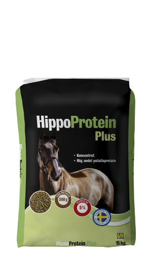 HippoProtein Plus