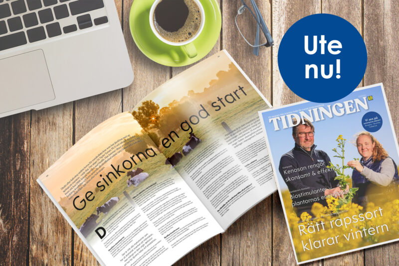 Tidningen nr 2 2023 ute nu! Ett magasin för svensk lantbruksnäring