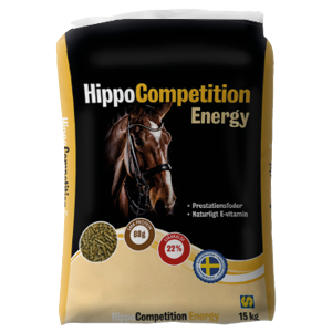 HippoCompetition_Energy