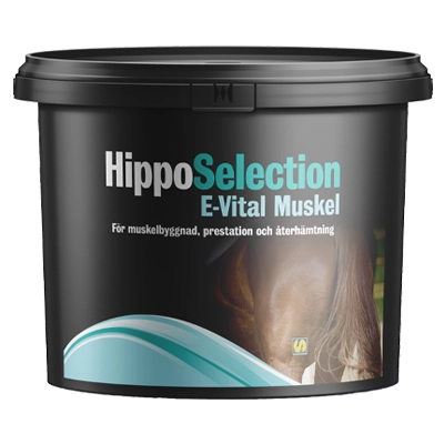 Produktbild-HippoSelection-E-vital-Muskel-1kg
