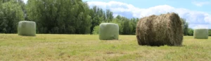 Ensilagebalar