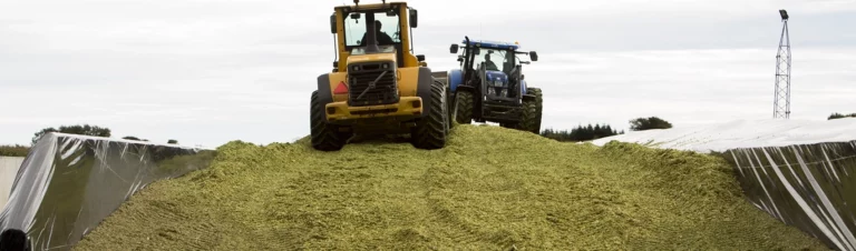Packning av ensilage i plansilo