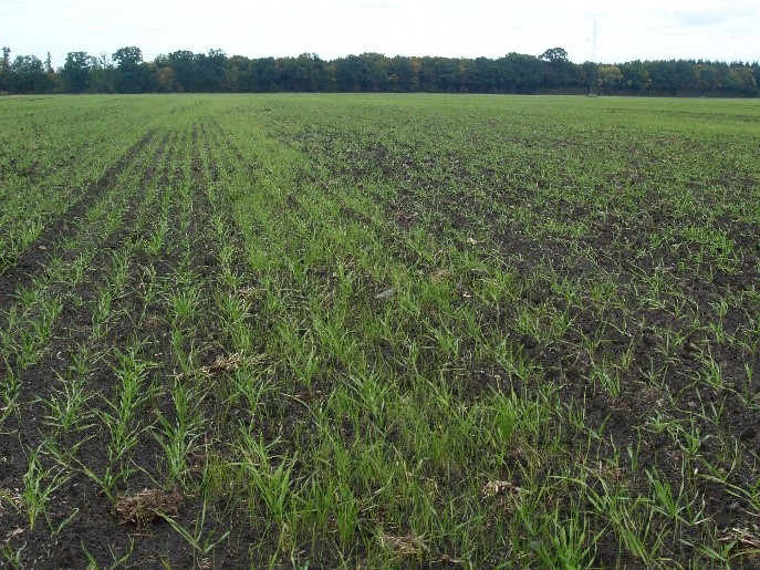 Bild-3