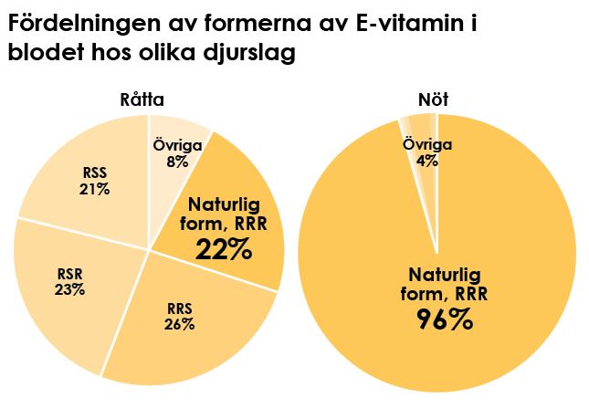 Tårtdiagram över fördelningen av formerna av E-vitamin i blodets hos råtta och nöt.