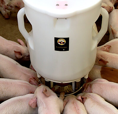 First-Feeder-e1703768685123