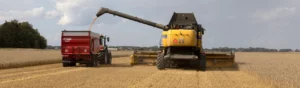 Tröska-lämnar-spannmål-vid-traktor-på-fält
