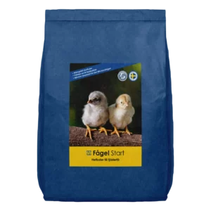 Fågel Start