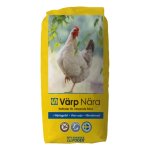 Värp Nära