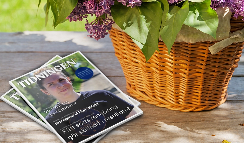 Nytt nummer av tidningen Tidningen ligger på ett bord bredvid en korg med syrenblommor.