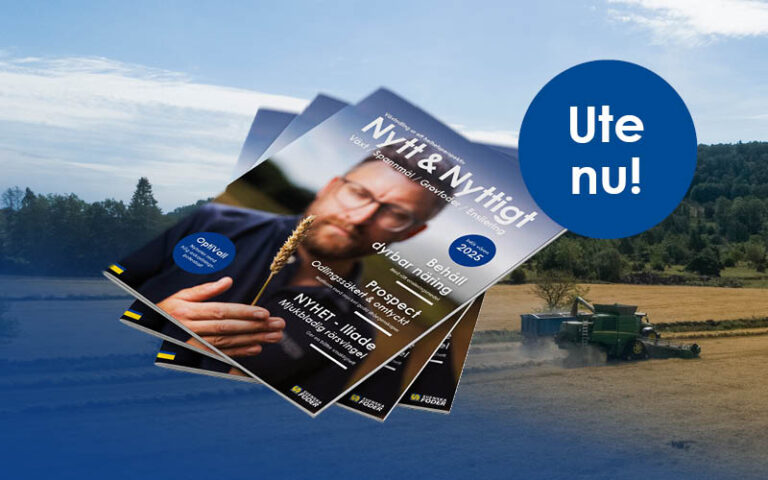 Desktop_ute_nu_800x500