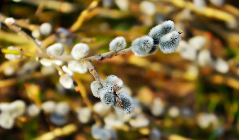 Förändring_är_det_konstanta_850x500px