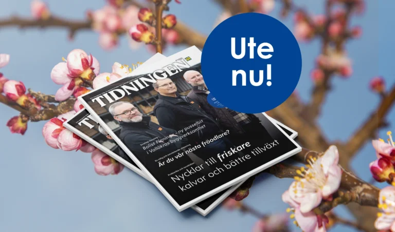 Svenska Foders Tidningen nr 1 2025 - ett magasin för svensk lantbruksnäring