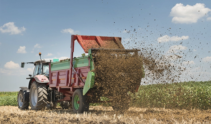 Traktor sprider ut fjäderfägödsel på fält.