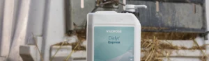 Elektrolyt till kalv