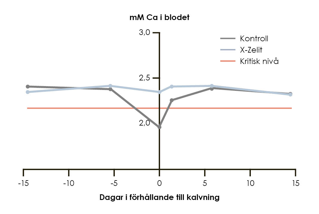 Figur över hur X-Zelit förebygger kalciumbrist